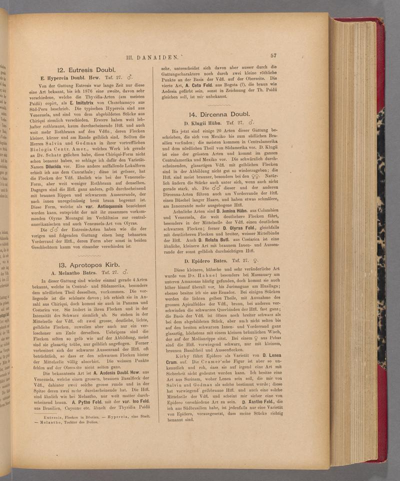 Exotische schmetterlinge (Page 57) BHL40070412
