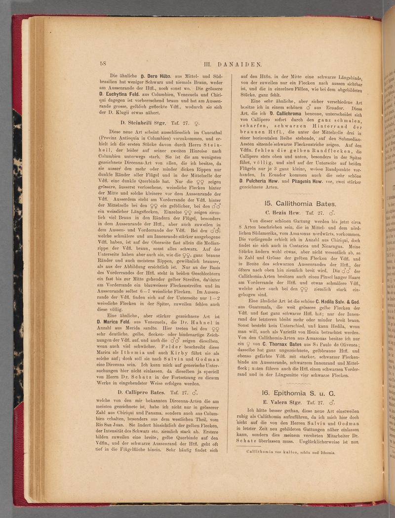 Exotische schmetterlinge (Page 58) BHL40070413