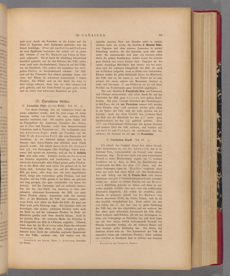 Exotische schmetterlinge (Page 59) BHL40070414