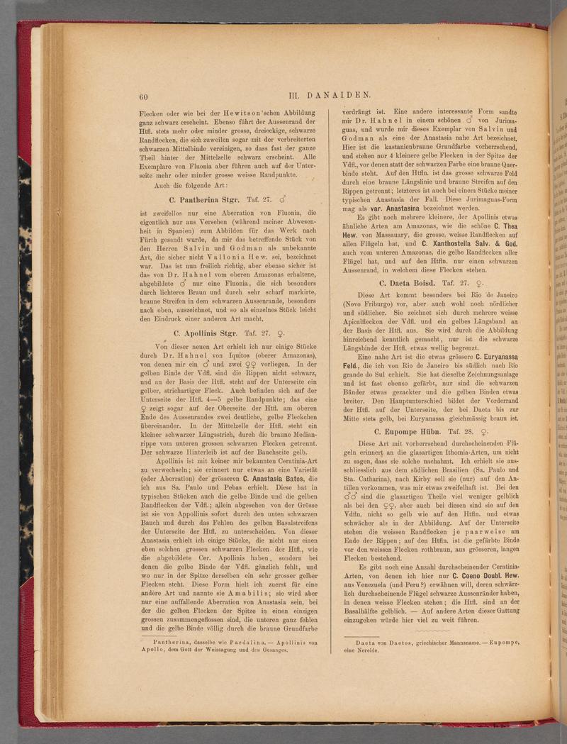 Exotische schmetterlinge (Page 60) BHL40070415