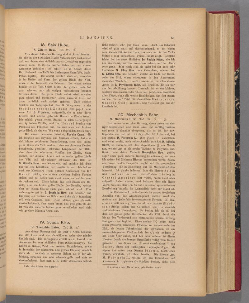 Exotische schmetterlinge (Page 61) BHL40070416
