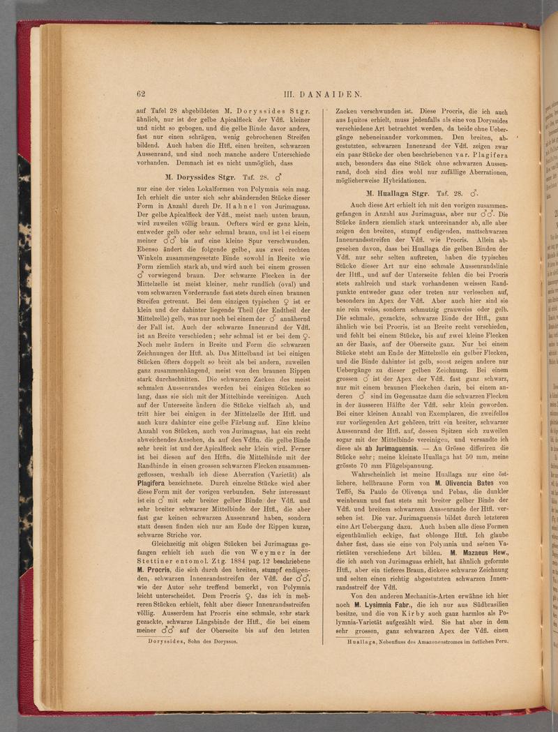 Exotische schmetterlinge (Page 62) BHL40070417