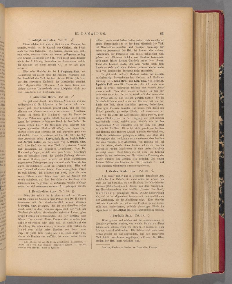 Exotische schmetterlinge (Page 65) BHL40070420