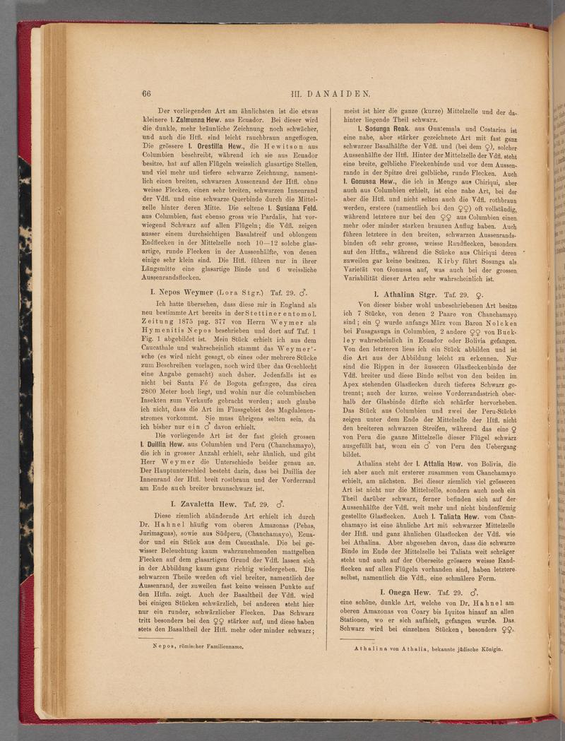 Exotische schmetterlinge (Page 66) BHL40070421