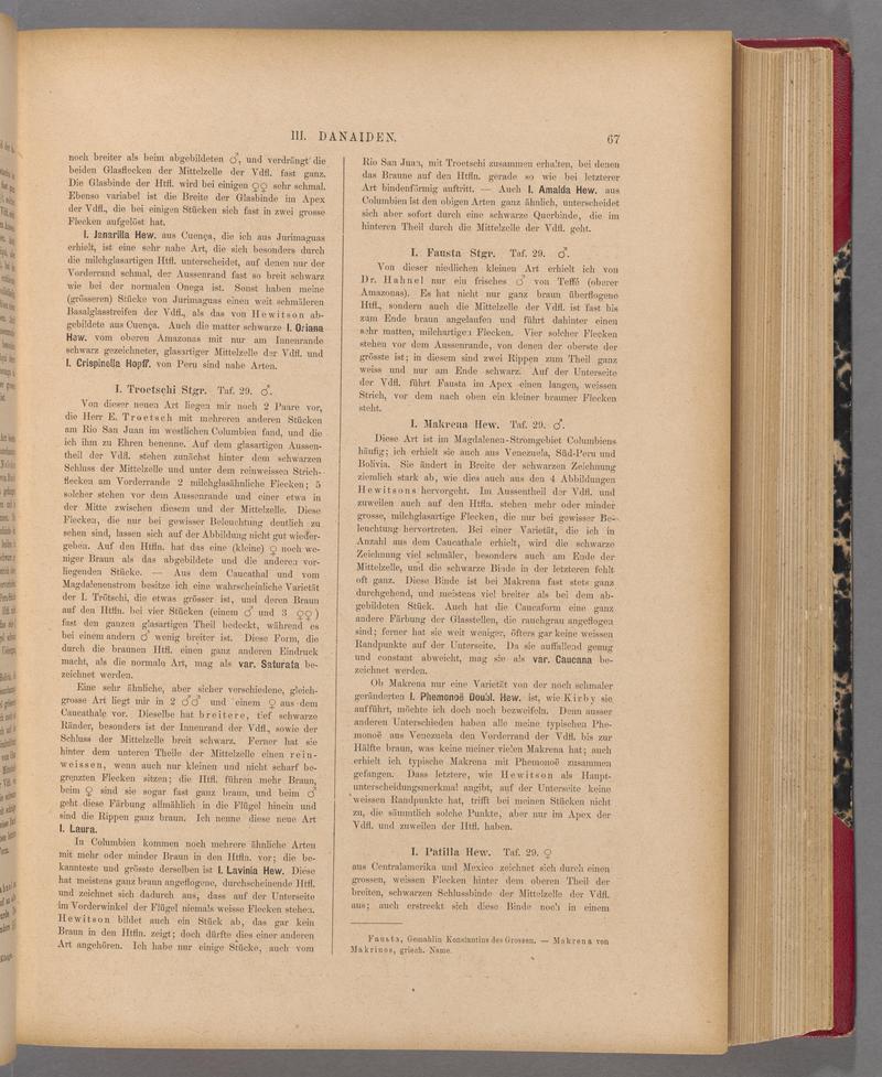 Exotische schmetterlinge (Page 67) BHL40070422