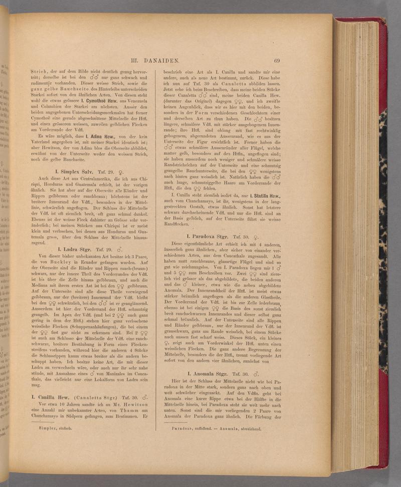 Exotische schmetterlinge (Page 69) BHL40070424