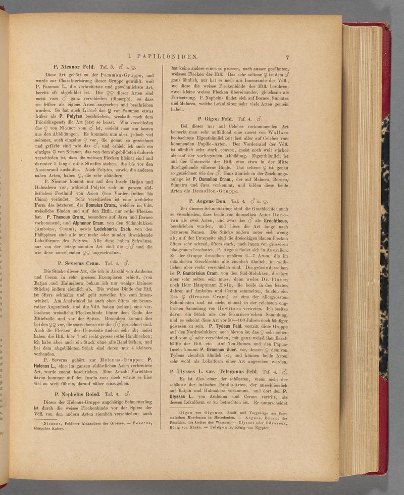 Exotische schmetterlinge (Page 7) BHL40070362