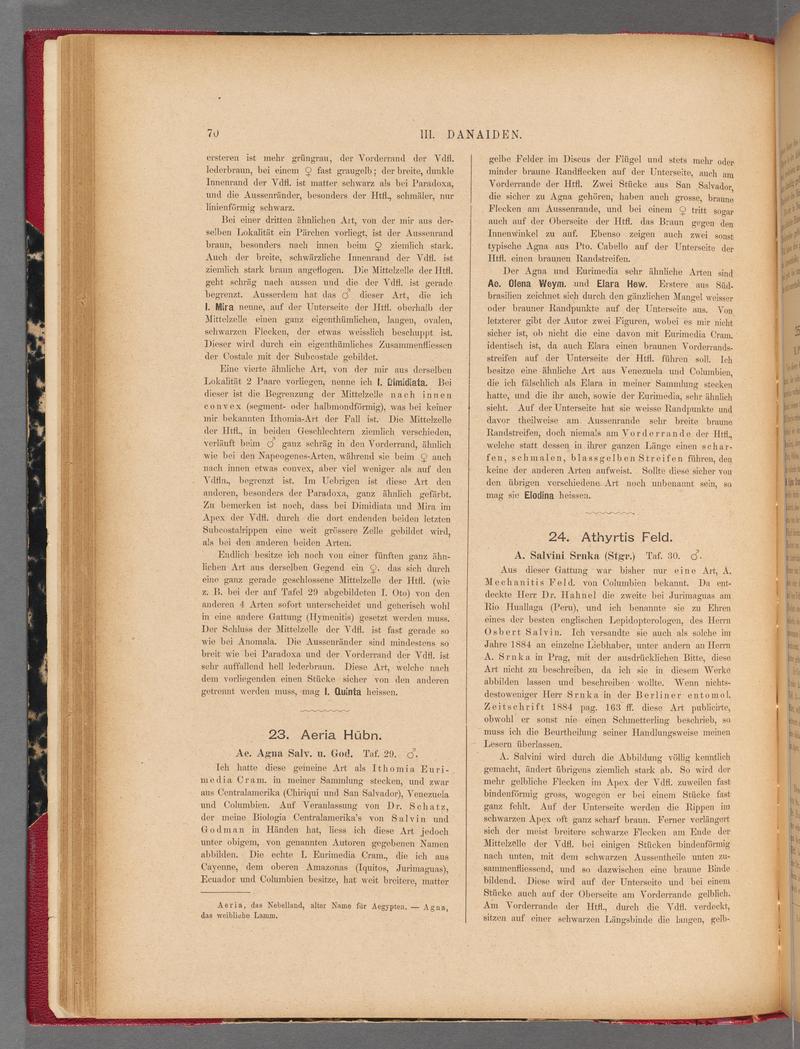 Exotische schmetterlinge (Page 70) BHL40070425