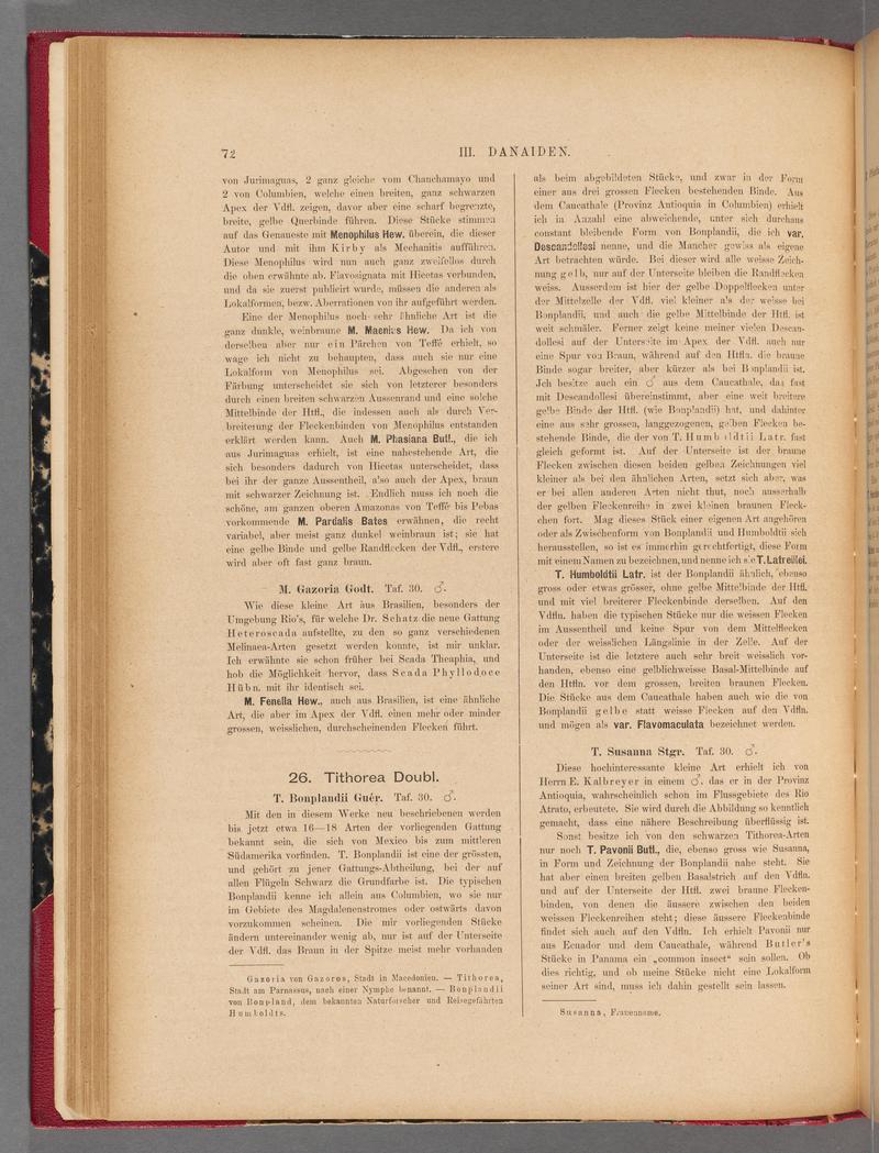 Exotische schmetterlinge (Page 72) BHL40070427