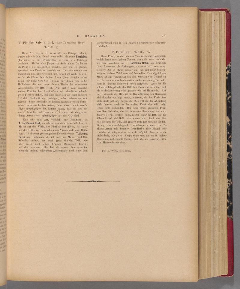 Exotische schmetterlinge (Page 73) BHL40070428