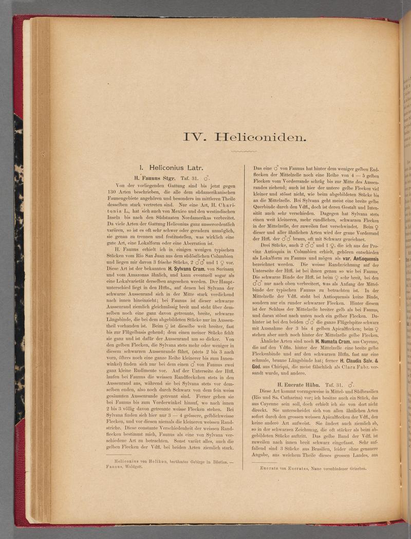 Exotische schmetterlinge (Page 74) BHL40070429