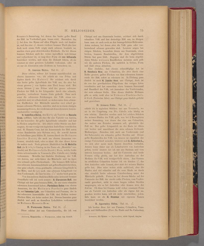 Exotische schmetterlinge (Page 75) BHL40070430