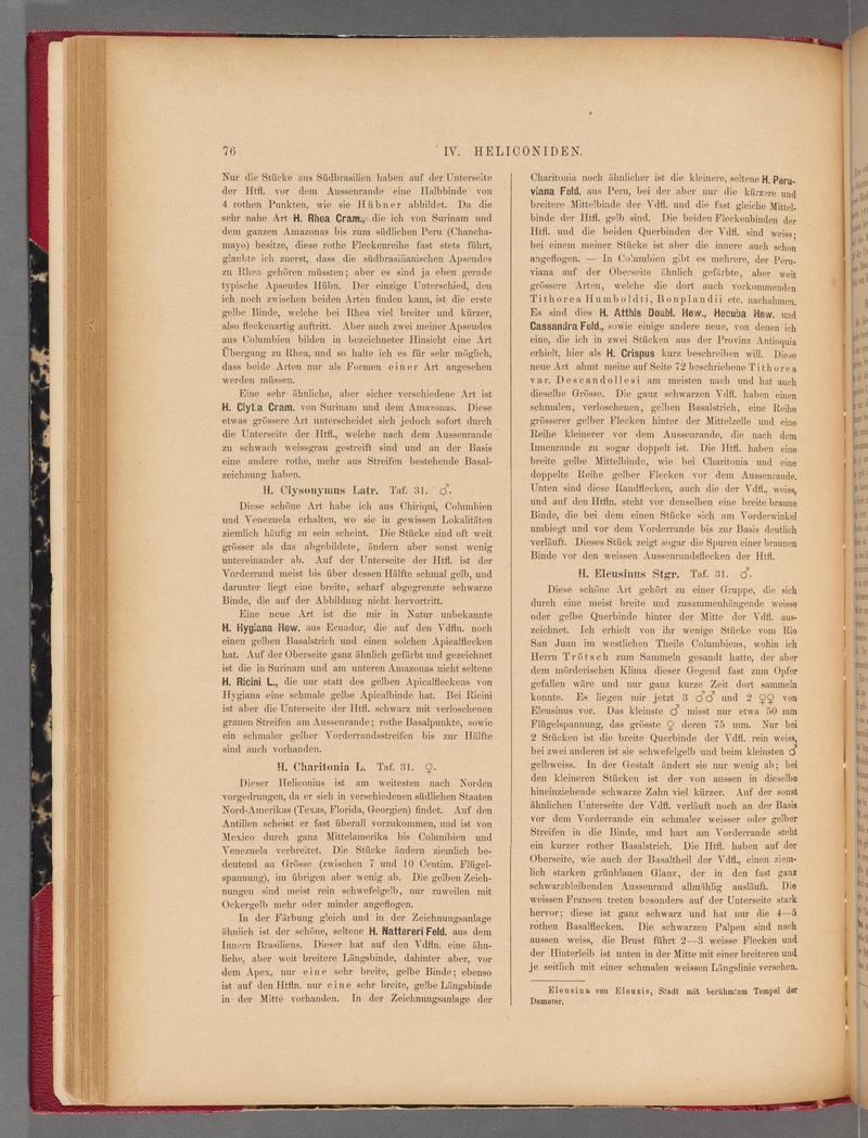 Exotische schmetterlinge (Page 76) BHL40070431