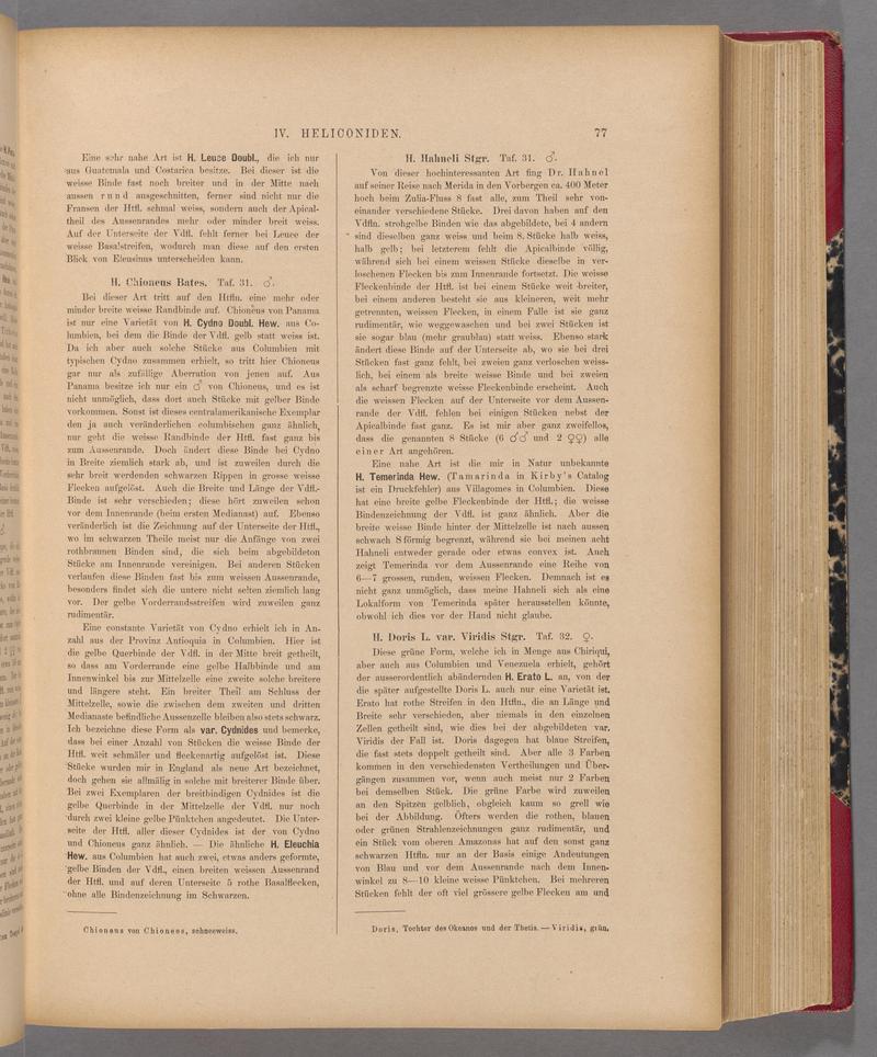 Exotische schmetterlinge (Page 77) BHL40070432
