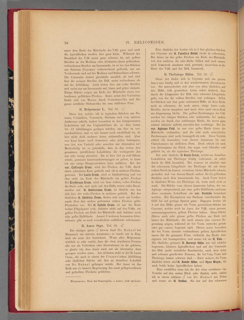Exotische schmetterlinge (Page 78) BHL40070433