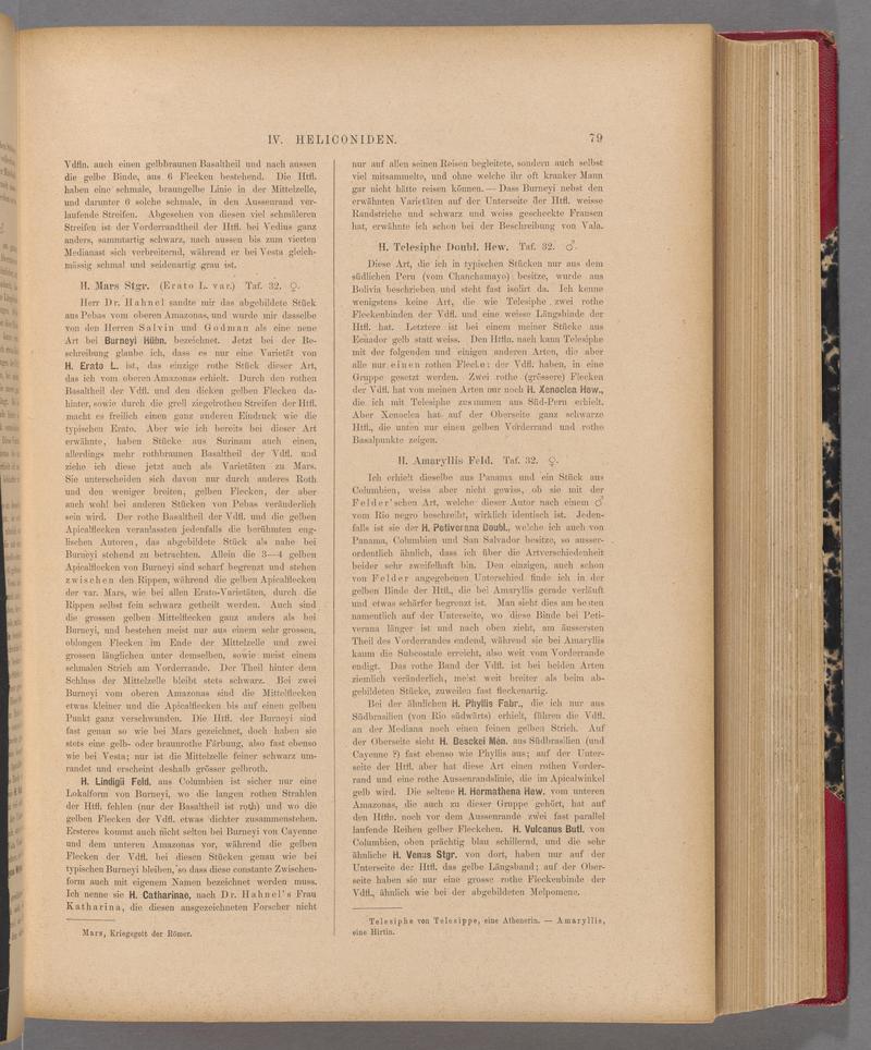 Exotische schmetterlinge (Page 79) BHL40070434