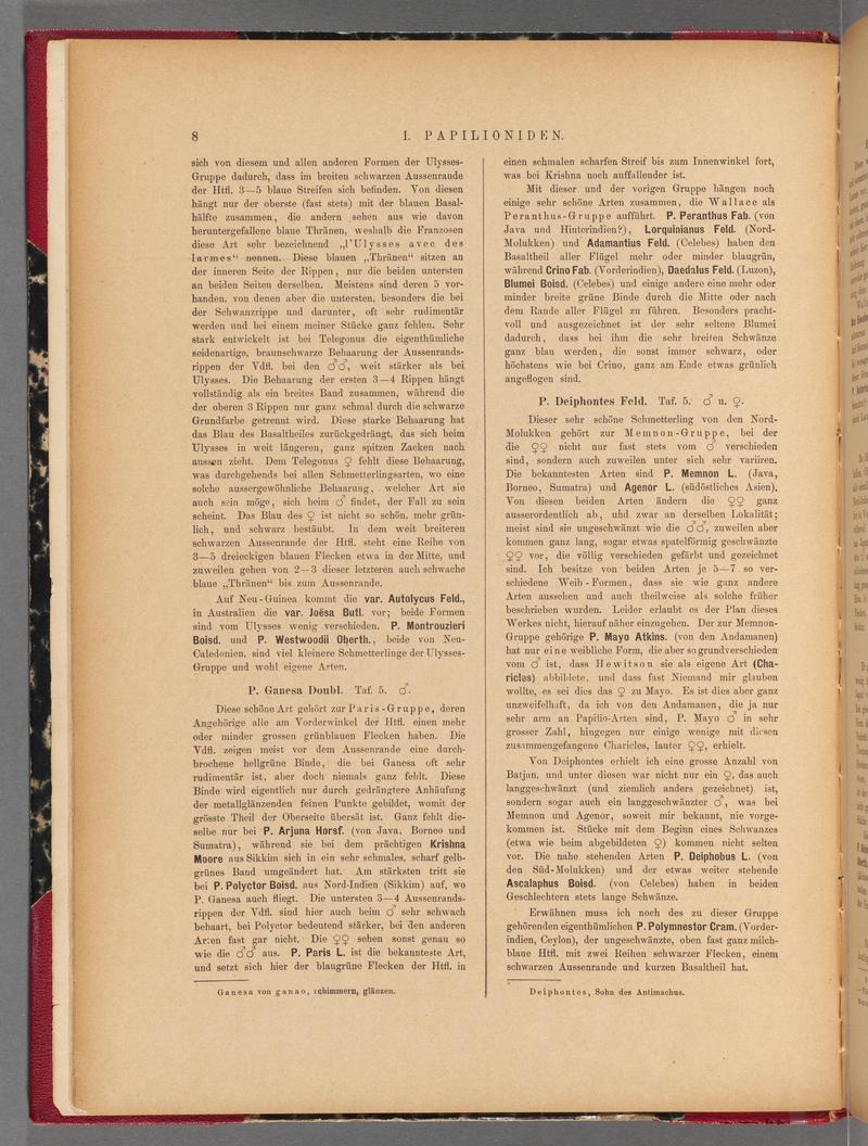 Exotische schmetterlinge (Page 8) BHL40070363