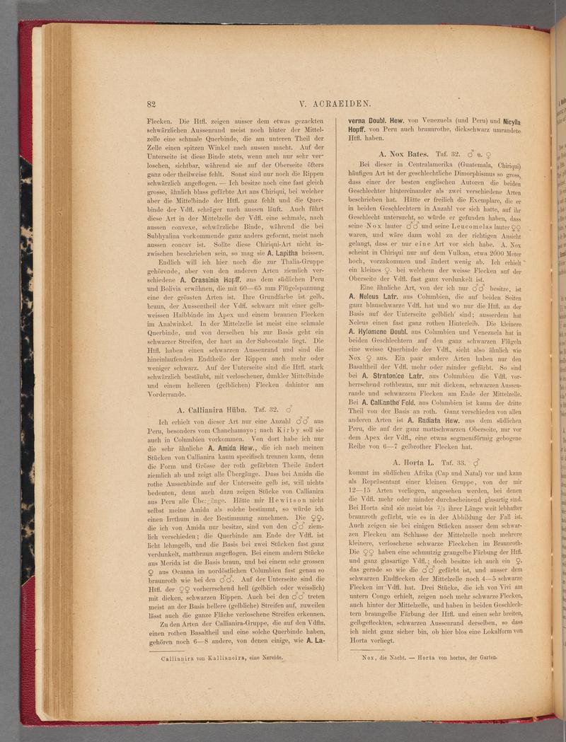 Exotische schmetterlinge (Page 82) BHL40070437