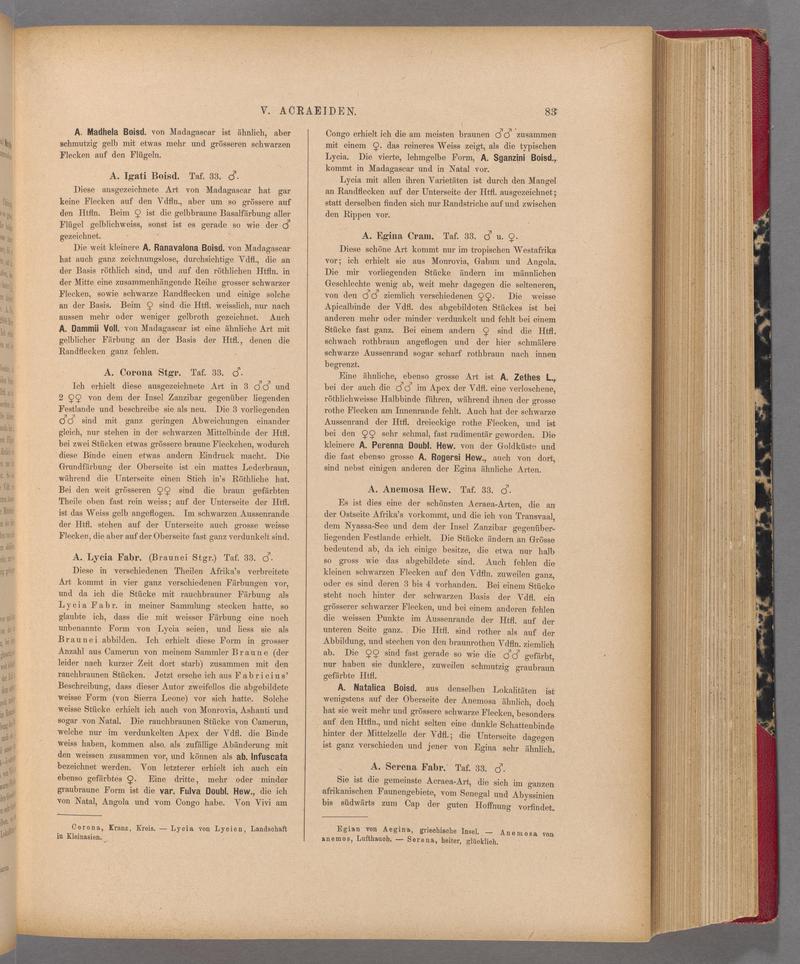 Exotische schmetterlinge (Page 83) BHL40070438
