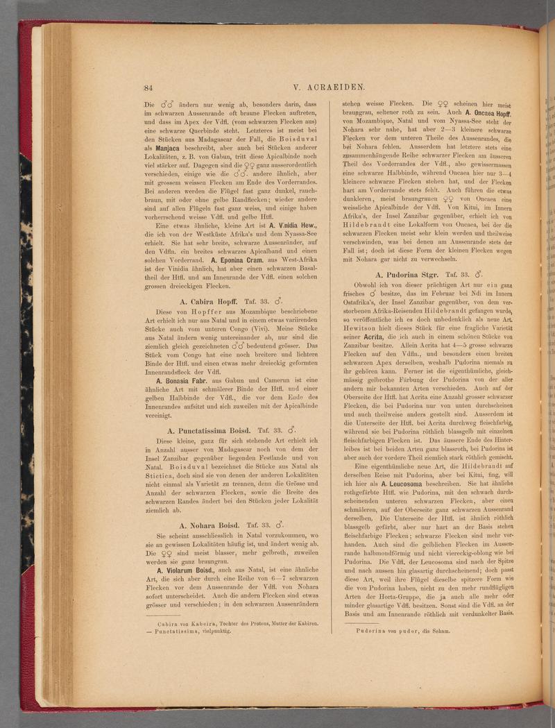 Exotische schmetterlinge (Page 84) BHL40070439