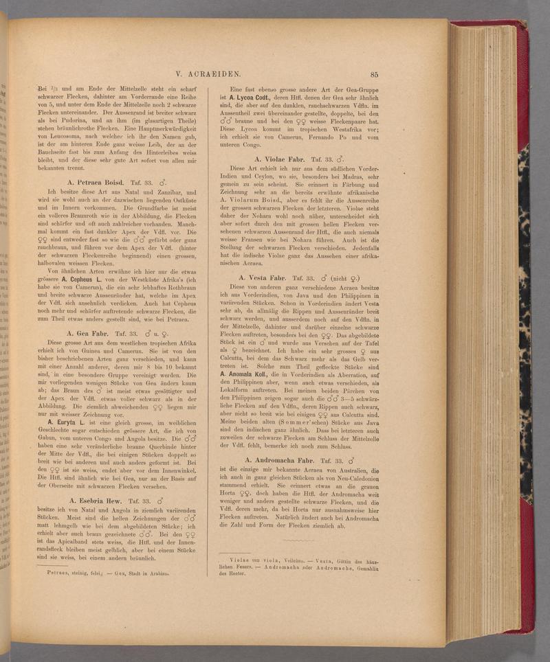 Exotische schmetterlinge (Page 85) BHL40070440