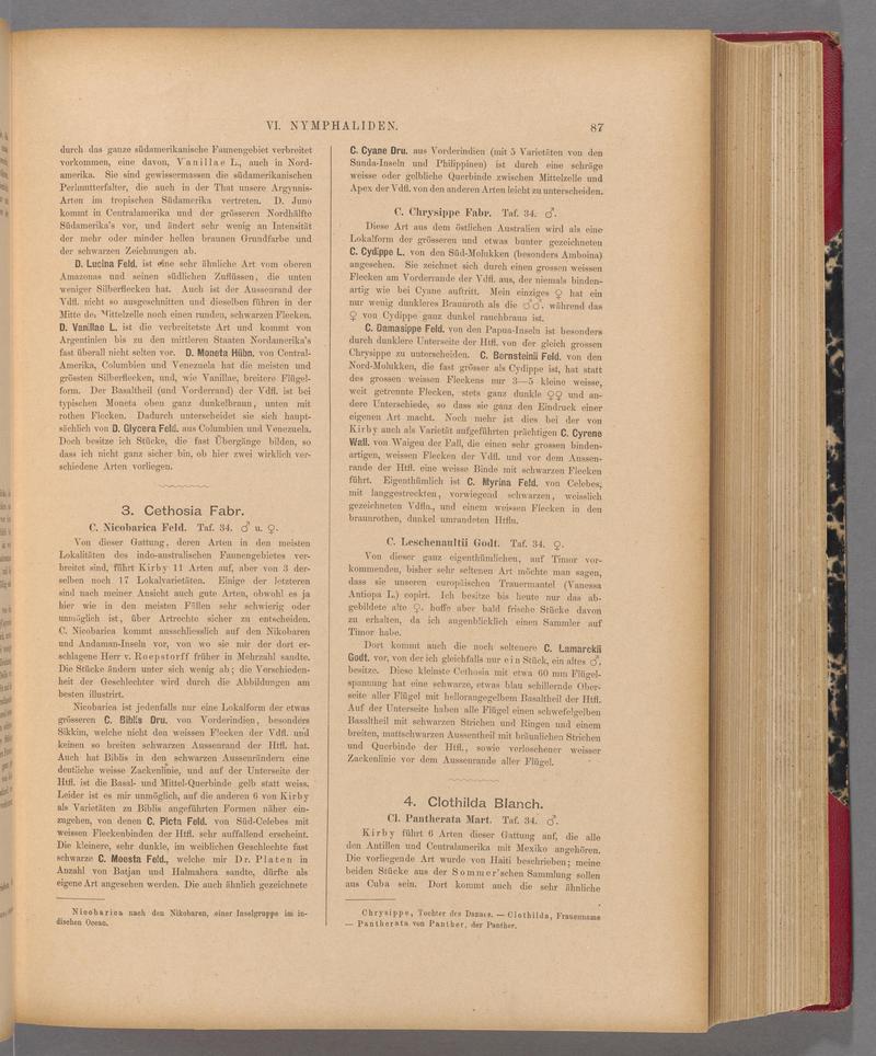 Exotische schmetterlinge (Page 87) BHL40070442