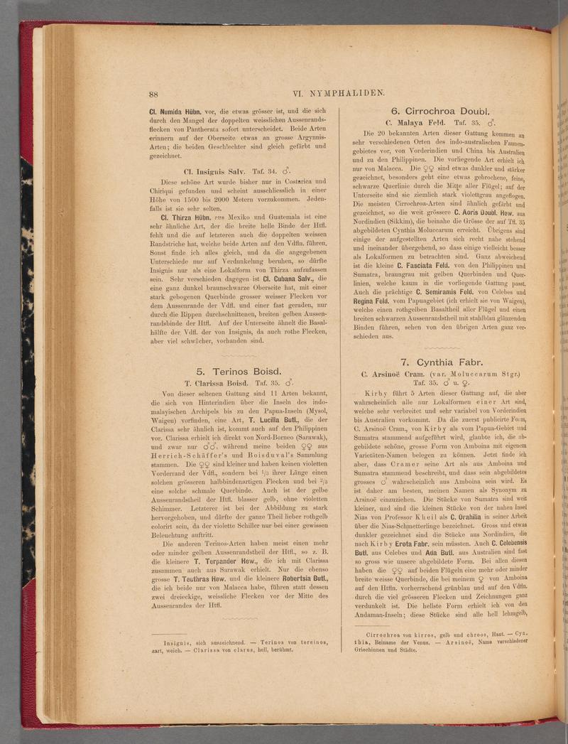 Exotische schmetterlinge (Page 88) BHL40070443