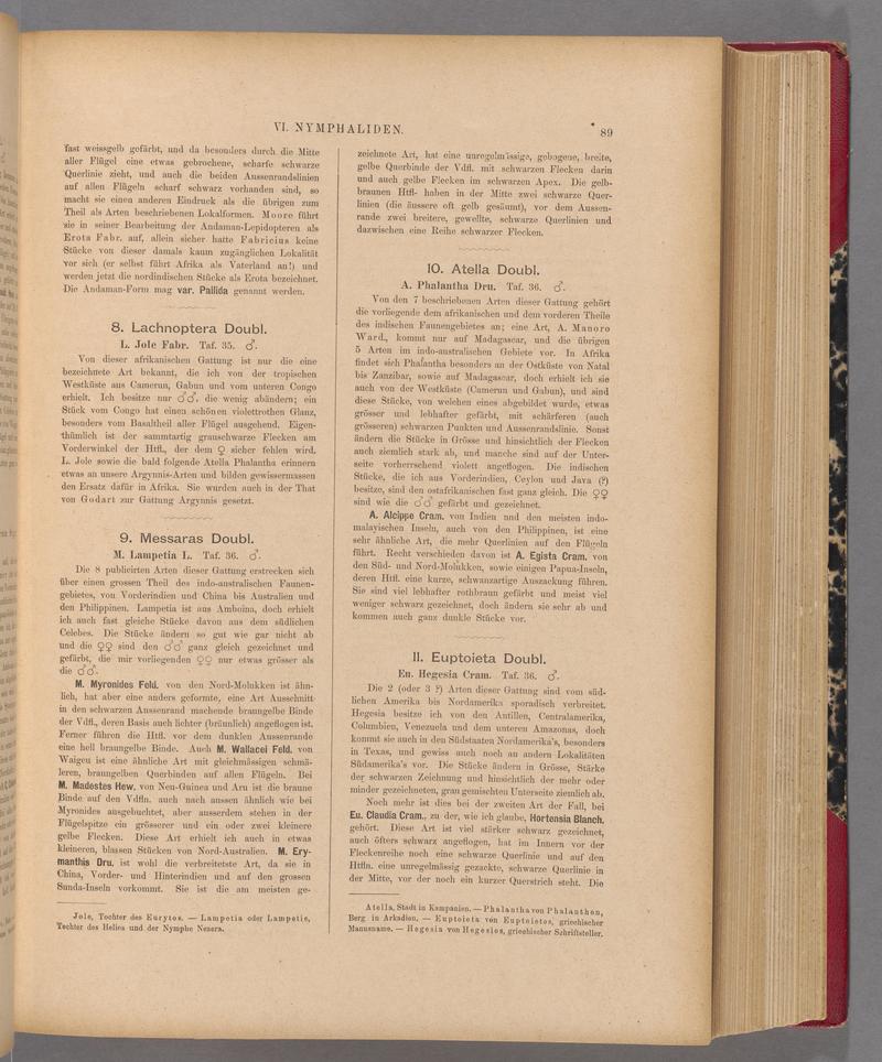 Exotische schmetterlinge (Page 89) BHL40070444