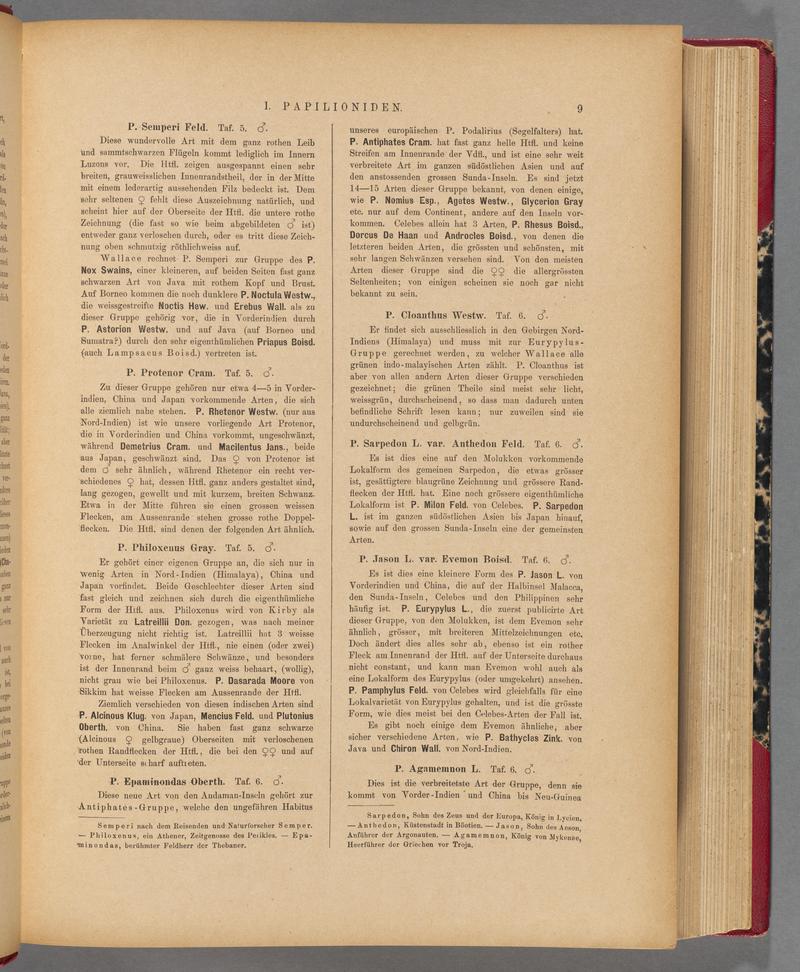 Exotische schmetterlinge (Page 9) BHL40070364
