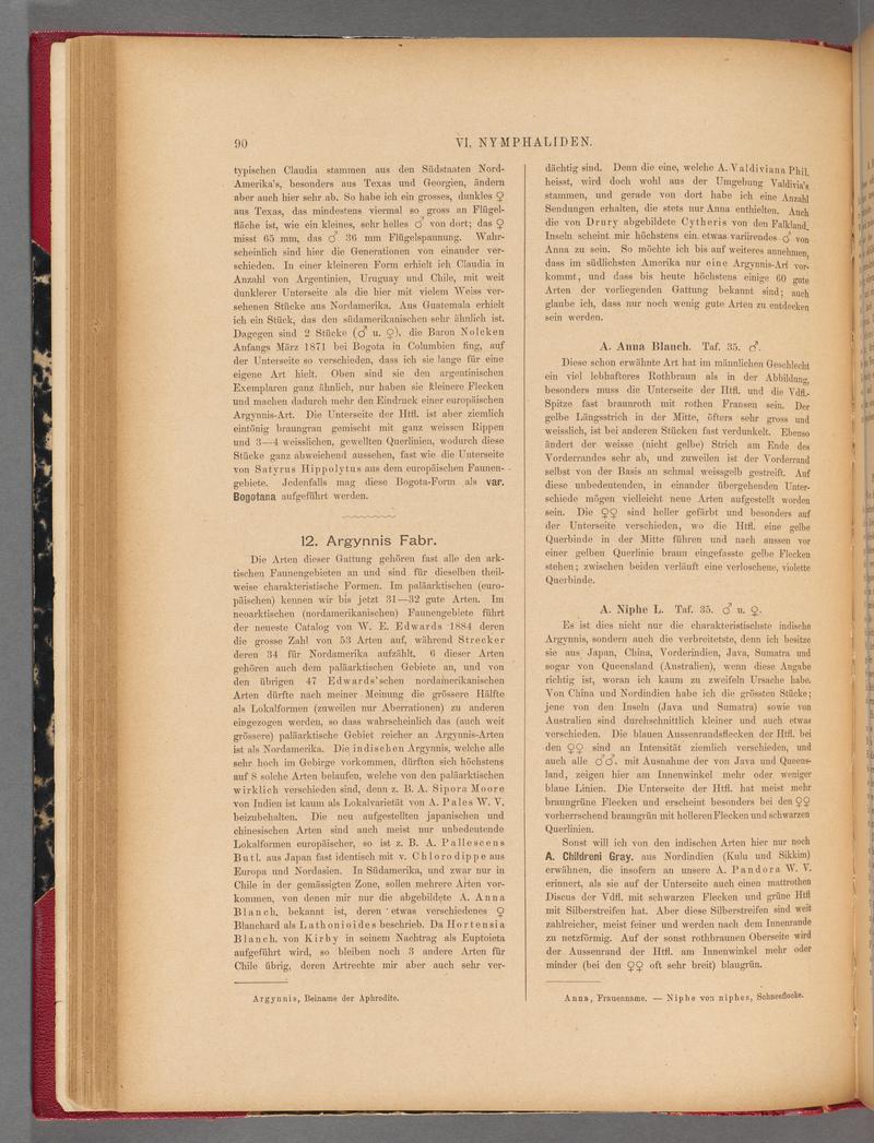 Exotische schmetterlinge (Page 90) BHL40070445