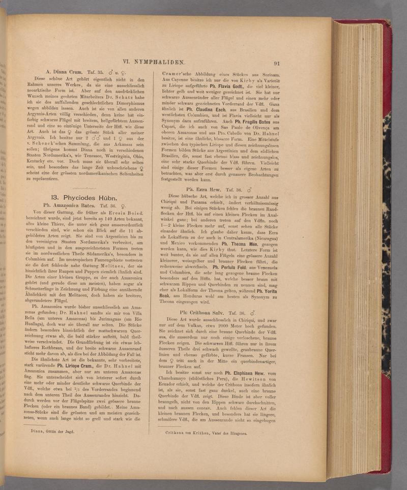 Exotische schmetterlinge (Page 91) BHL40070446