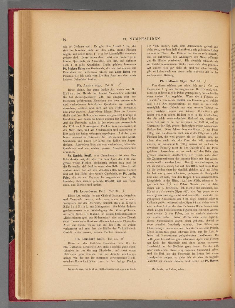 Exotische schmetterlinge (Page 92) BHL40070447