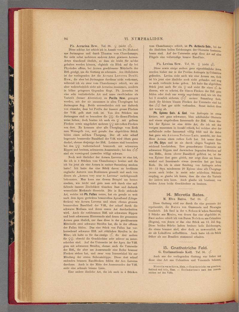 Exotische schmetterlinge (Page 94) BHL40070449