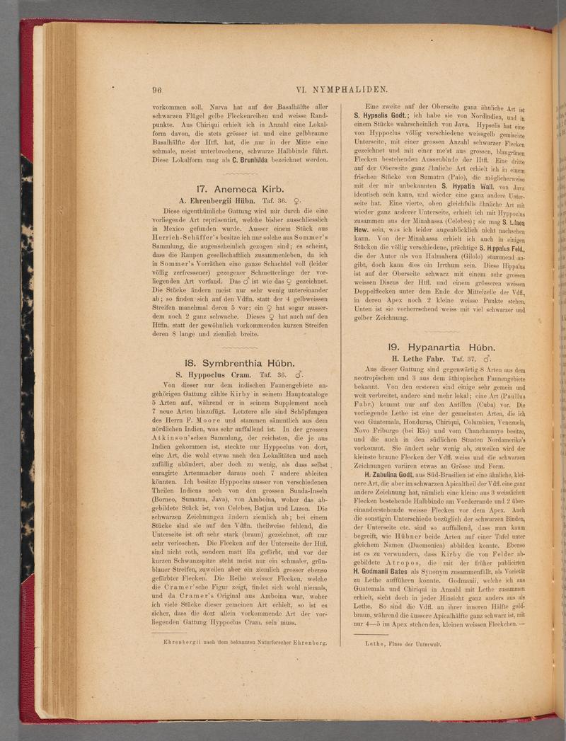 Exotische schmetterlinge (Page 96) BHL40070451