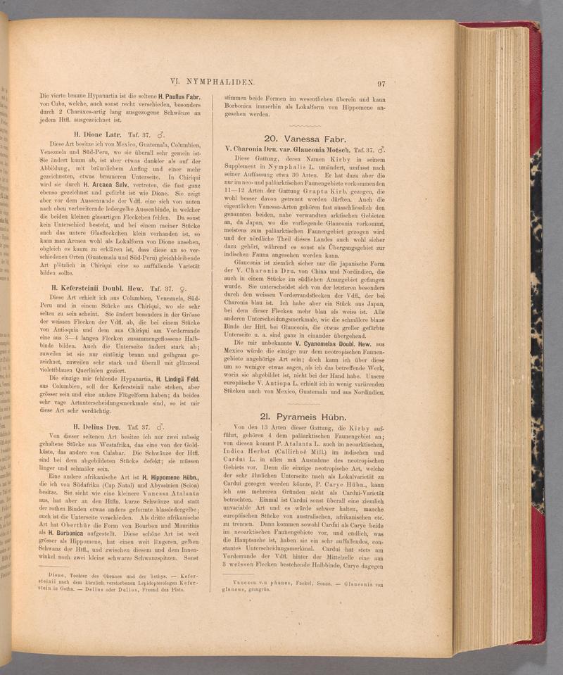 Exotische schmetterlinge (Page 97) BHL40070452