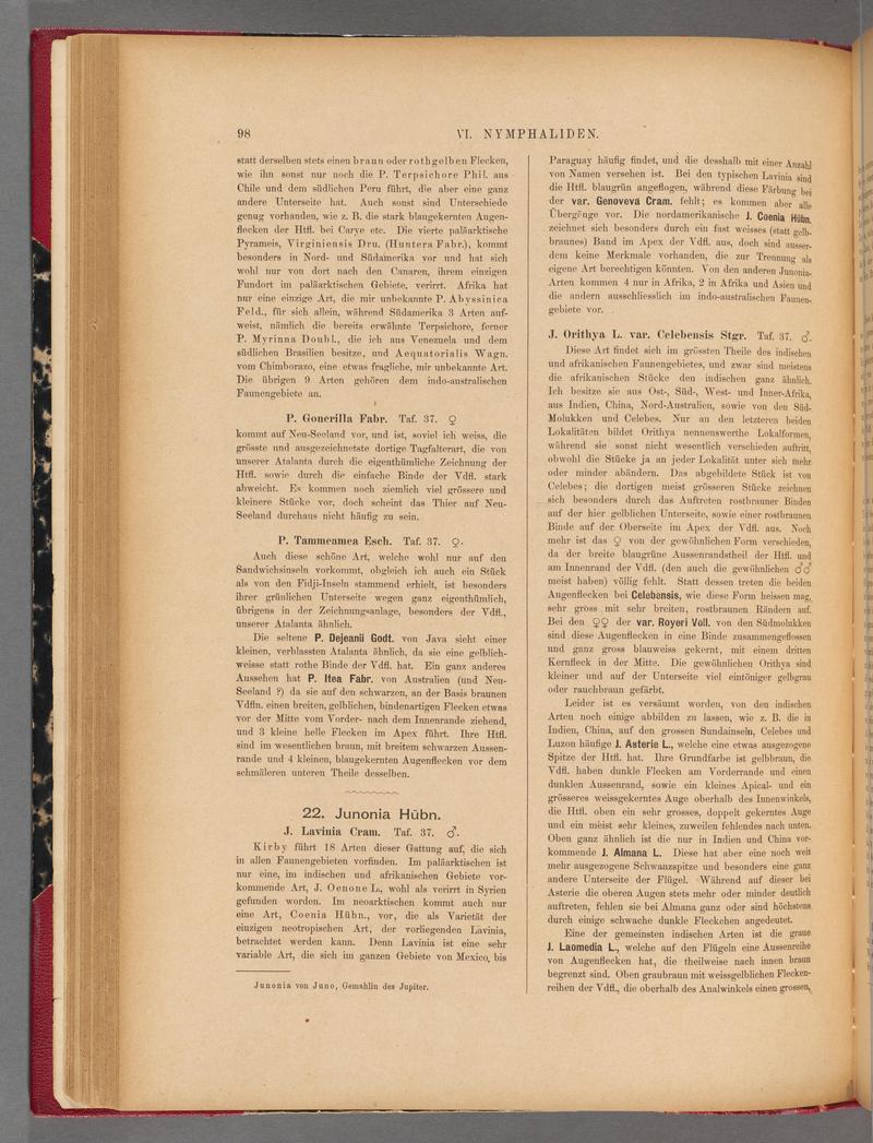 Exotische schmetterlinge (Page 98) BHL40070453