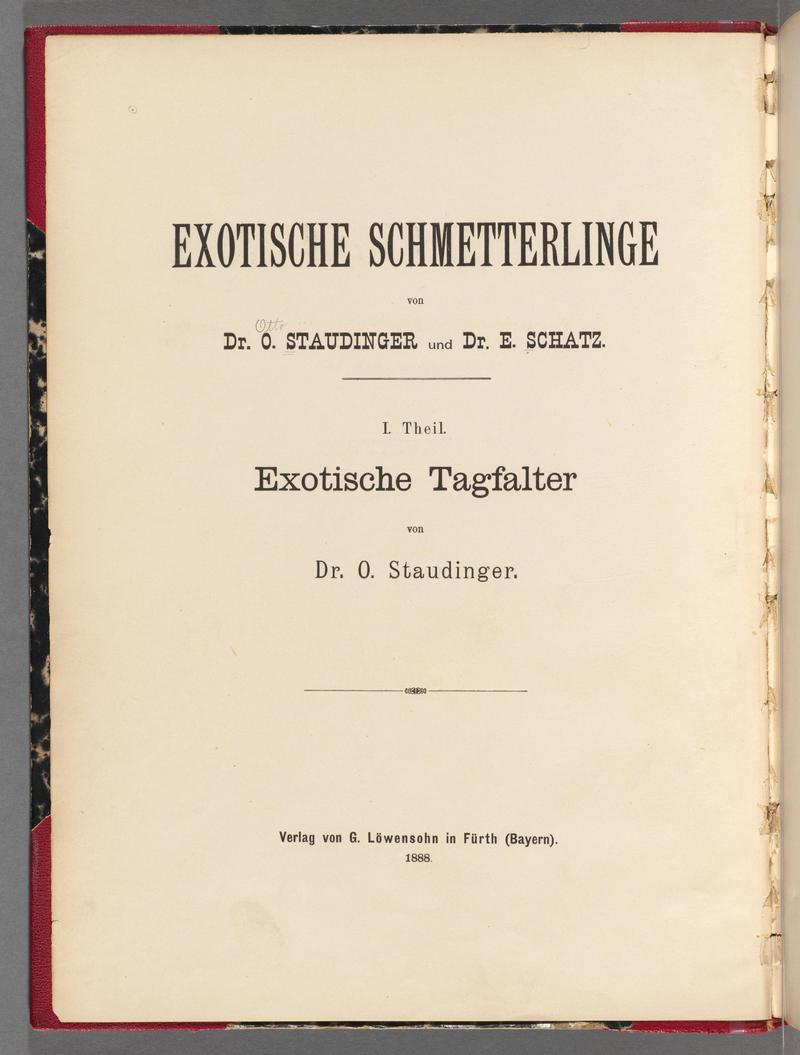 Exotische schmetterlinge BHL40070351