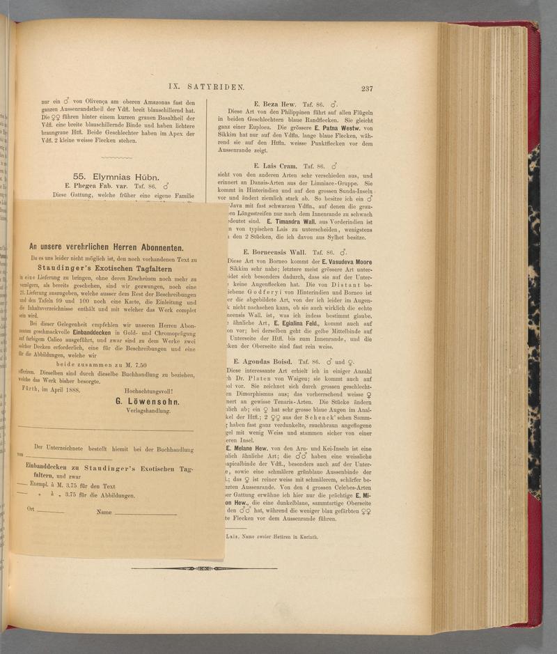Exotische schmetterlinge BHL40070592