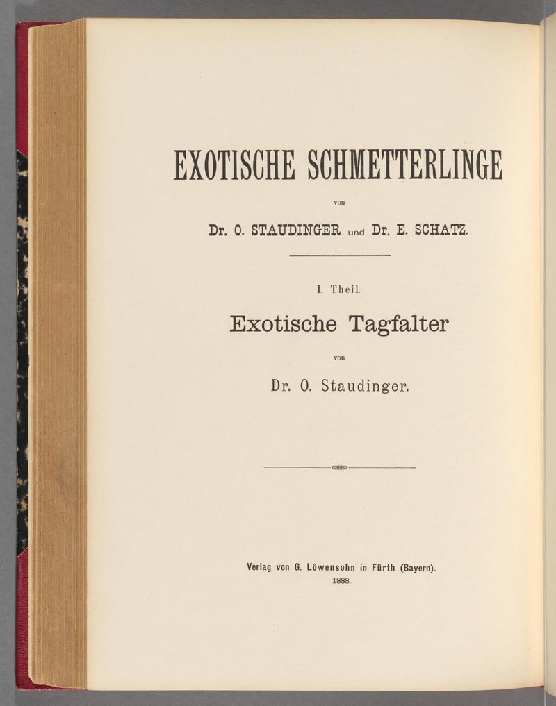Exotische schmetterlinge BHL40070691