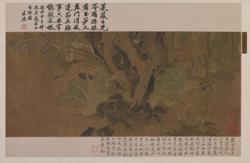 Bamboo, frog, and insects