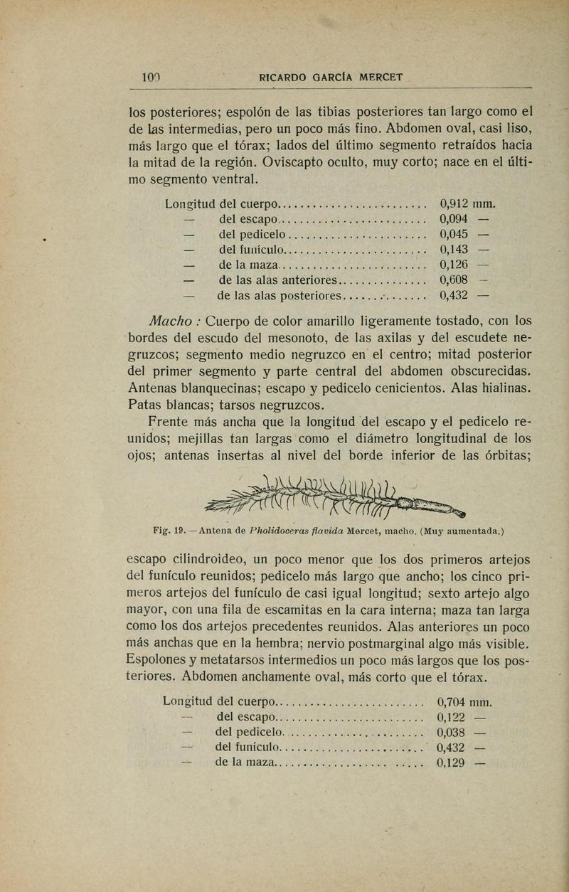 Fauna ibérica (Page 100) BHL10940155