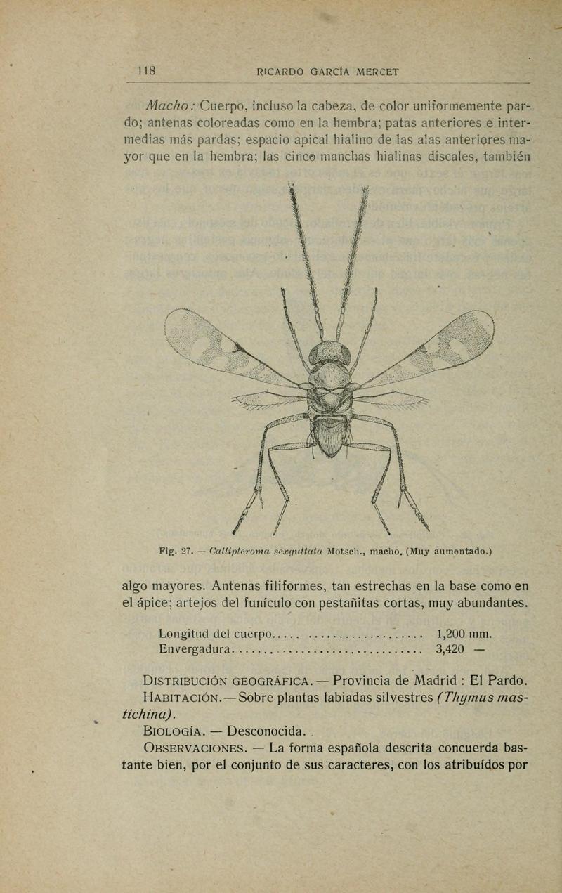 Fauna ibérica (Page 118) BHL10940173