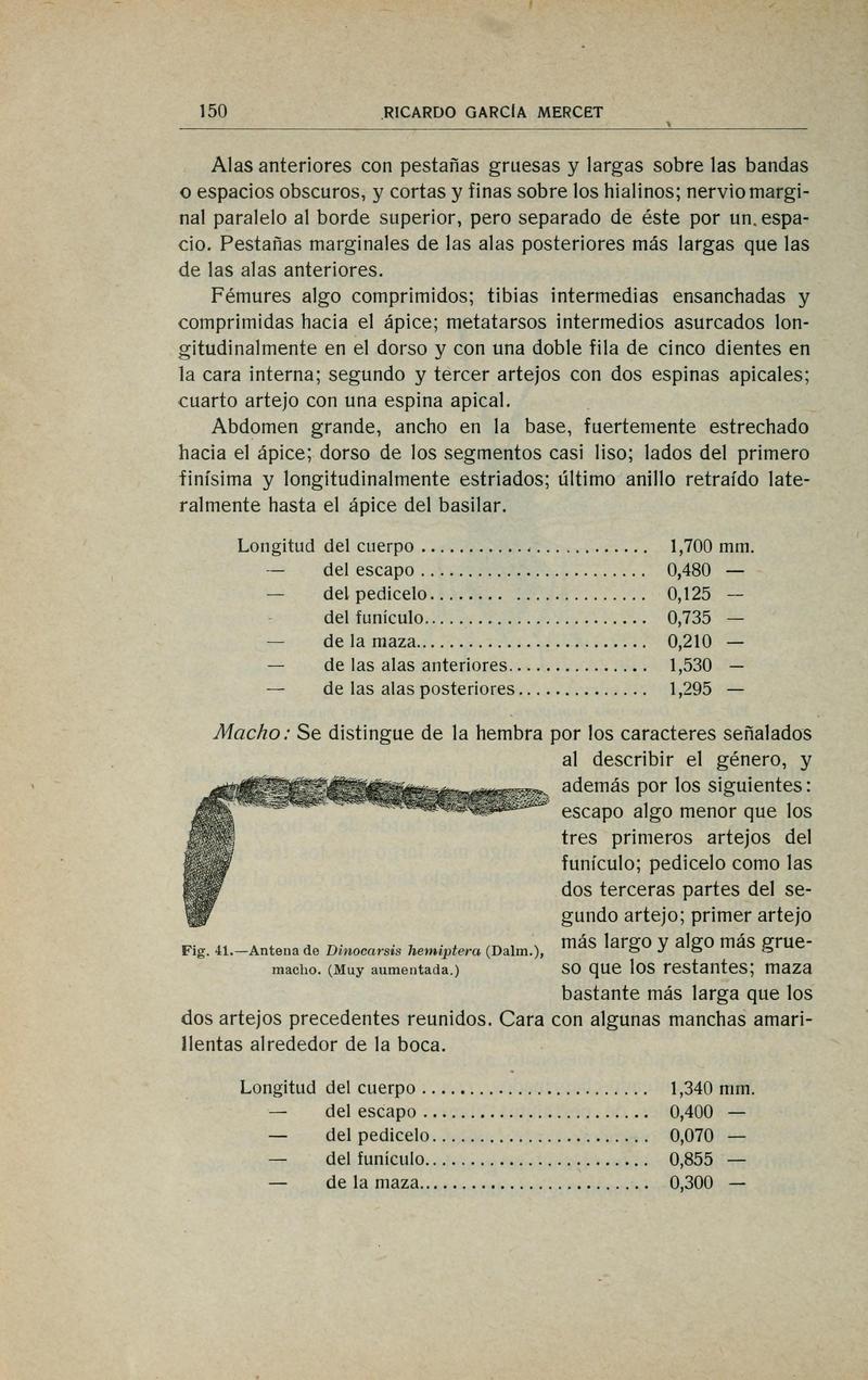 Fauna ibérica (Page 150) BHL10940205