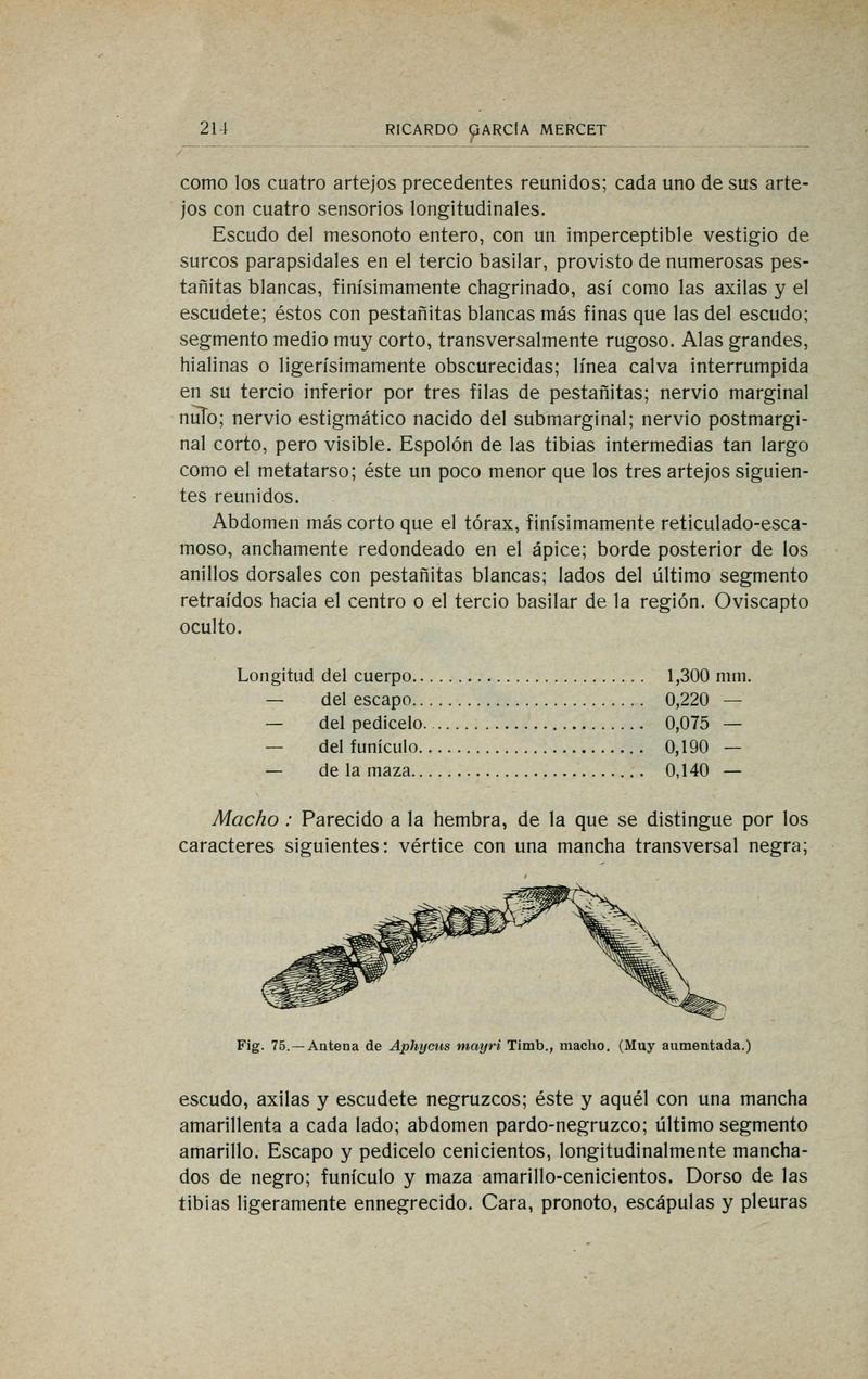 Fauna ibérica (Page 214) BHL10940269