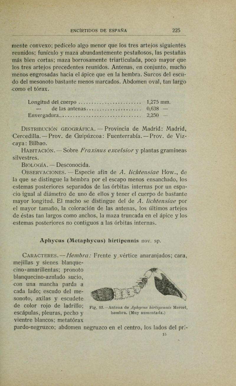 Fauna ibérica (Page 225) BHL10940280