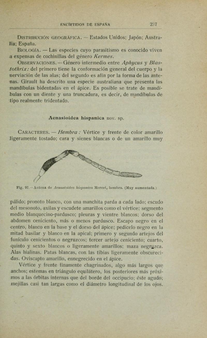 Fauna ibérica (Page 237) BHL10940292