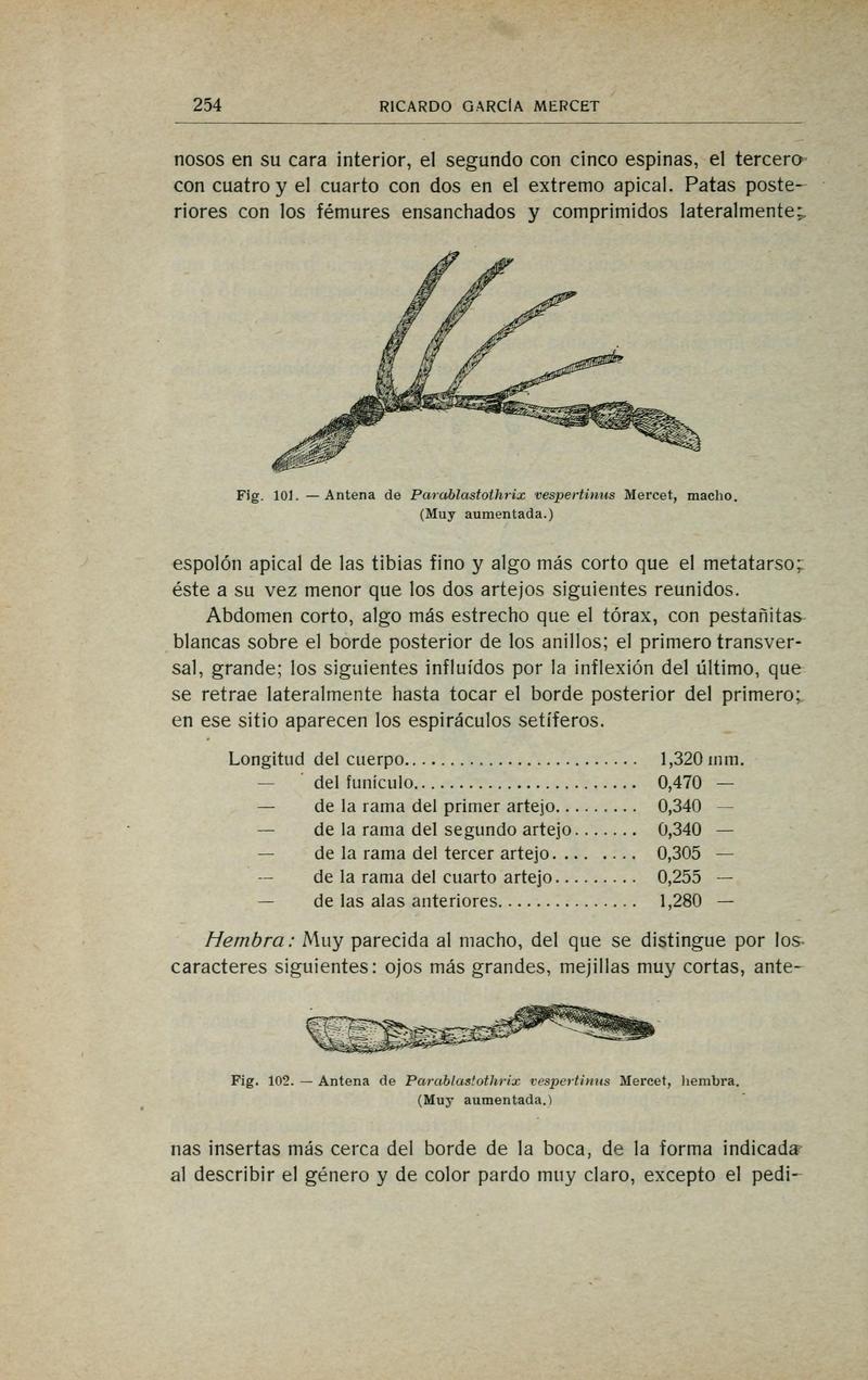 Fauna ibérica (Page 254) BHL10940309