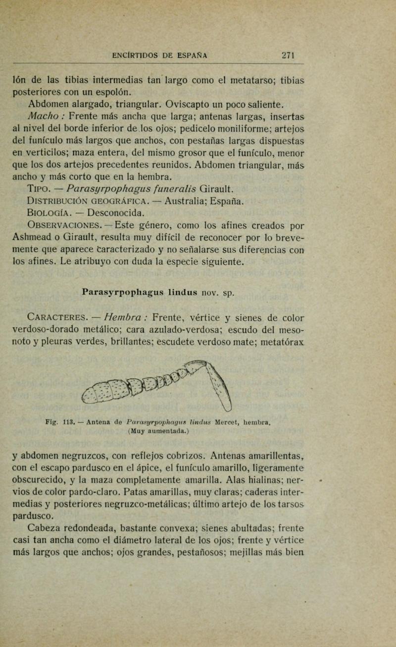 Fauna ibérica (Page 271) BHL10940326