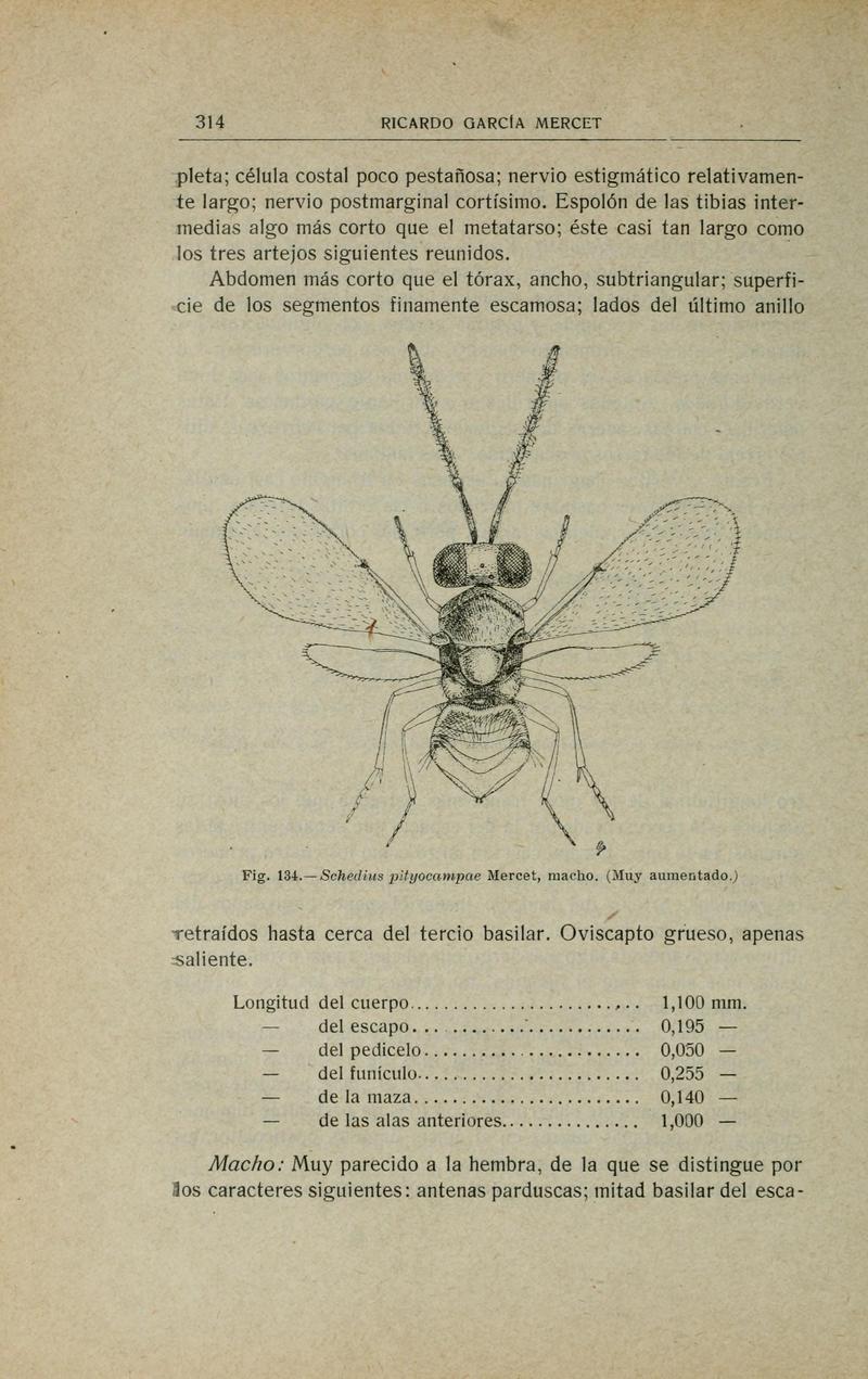 Fauna ibérica (Page 314) BHL10940369