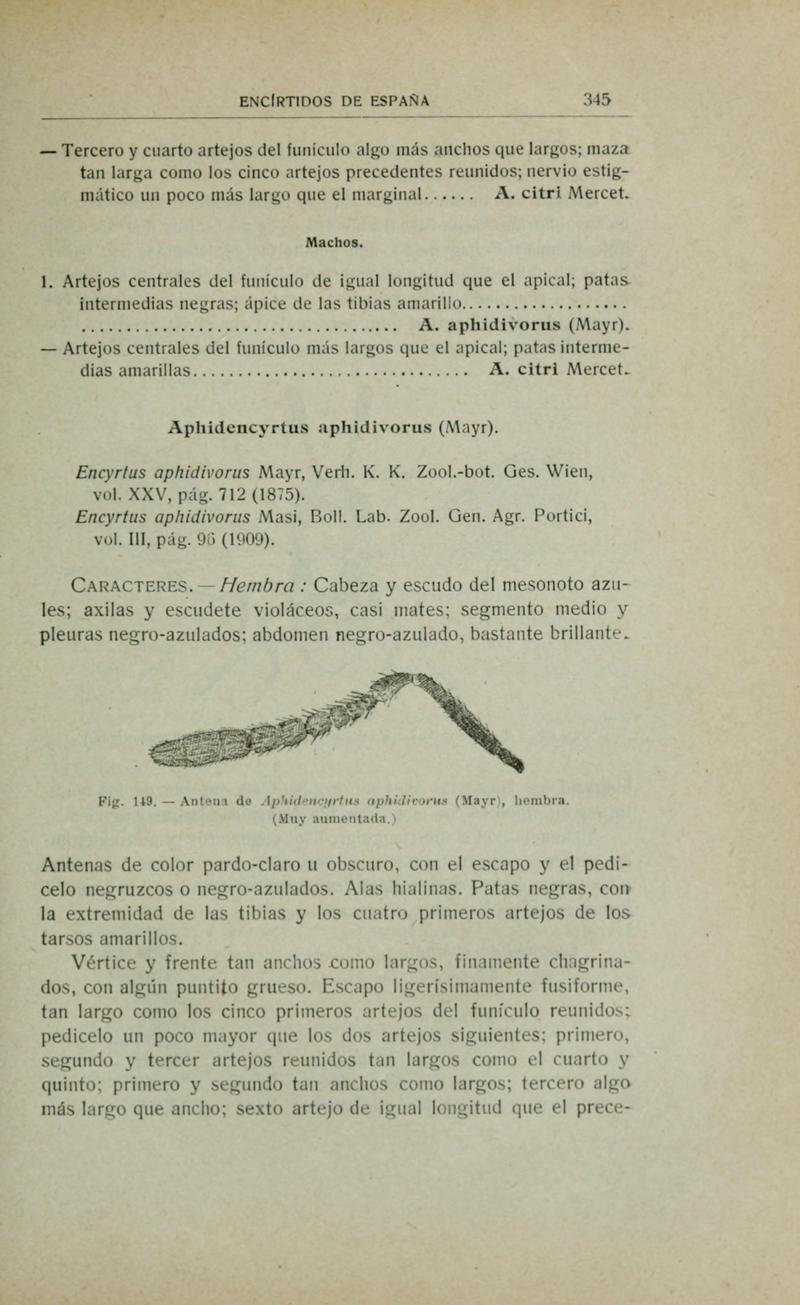 Fauna ibérica (Page 345) BHL10940400